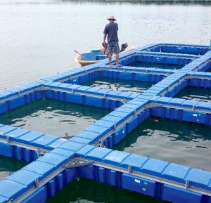 WEIDA ECOCAGE Innovative Systems for Aquaculture