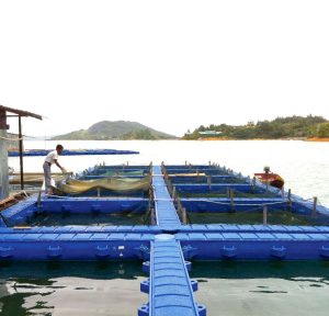 WEIDACAGE III Innovative Systems for Aquaculture