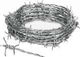GI & Pvc coated barb wire