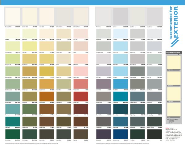 NIPPON PAINT 3IN1 - Image 3
